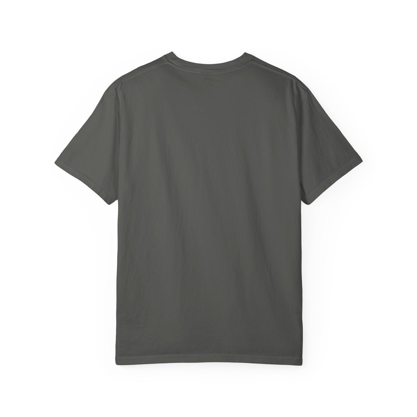 Toldeo Publix Scale T-Shirt