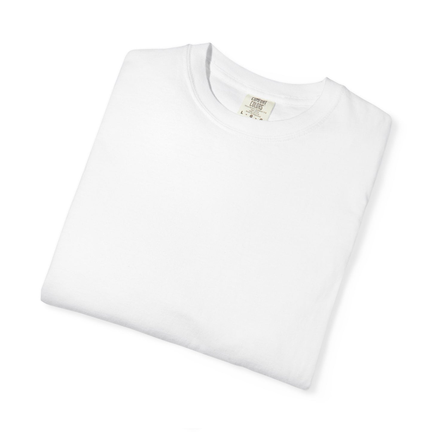 Jacksonville Rodeo T-Shirt: Vintage Cowboy & Alligator Rodeo Graphic Tee