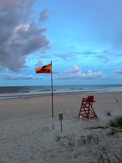 Premium Jacksonville Humor Flag | Double Sided 3' X 5' | Outdoor